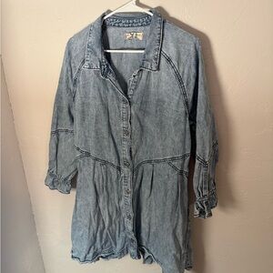 We The Free Denim Mini Dress